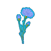 Flower 스티커 Sticker