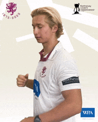 Fin Cricketer GIF by Somerset County Cricket Club
