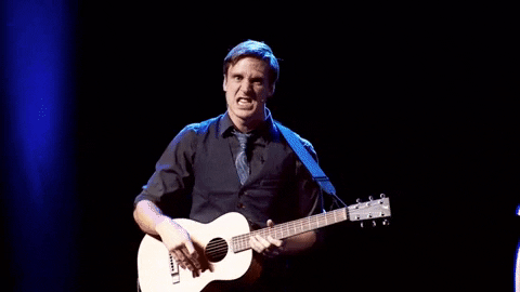 Guitar Sean Finegan GIF by FoilArmsandHog