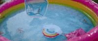 Summer Fall GIF by Aaron Taos