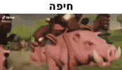 Israel Haifa GIF