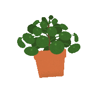 Plants Jungle Sticker