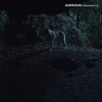 GIF by Arrow Video