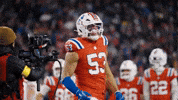 Football Nfl GIF by New England Patriots