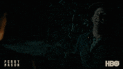 Tatiana Maslany Lawyer GIF by HBO