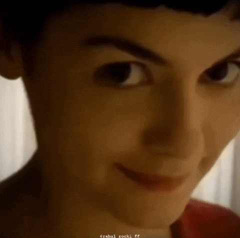 Funny Meme GIF