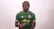 waving portland timbers GIF by Timbers