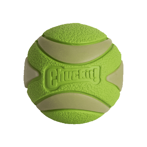 ChuckitFetchGames giphygifmaker chuckit maxglowultrasqueakerball ultrasqueakerball Sticker
