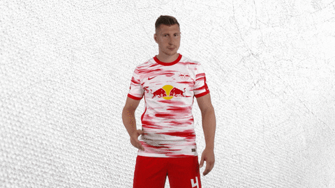 No Way Wtf GIF by RB Leipzig