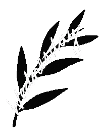 Morning Wednesday Sticker