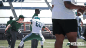 football tulane GIF by GreenWave