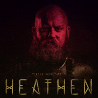 Beard Vikings GIF by Vinnie Camilleri