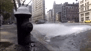 New York Nyc GIF