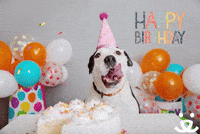 Happy Birthday Pup!