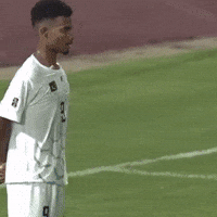 Pakfutball GIF
