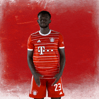 Happy Well Done GIF by FC Bayern Munich