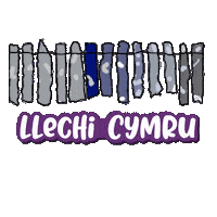Bro Plenydd Sticker