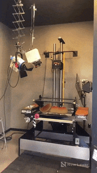 Picture Motion GIF by Alex Boya