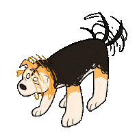 Dog Sticker
