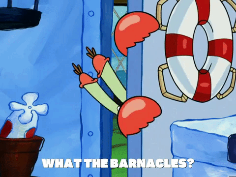 season 5 new digs GIF by SpongeBob SquarePants