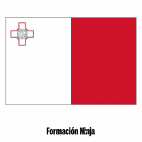 Flag Pixel Art GIF by Formación Ninja