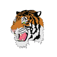 art tiger Sticker by HOKK FABRICA