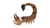 Summer Time Scorpion Sticker by EmojiVid