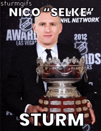 Minnesota Wild Hockey GIF