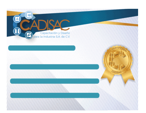 Diploma Certificado GIF by cadisac