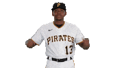 Lets Go Sport Sticker by Pittsburgh Pirates