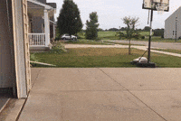 Wade Driveway GIF
