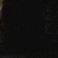 Serie Bothers GIF