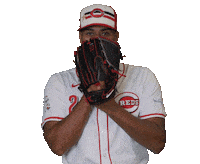 Cincinnati Reds Sport Sticker by MLB