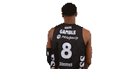 Sport Basketball Sticker by Basket_fi