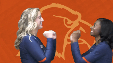 C-N Volleyball GIF by Carson-Newman Athletics