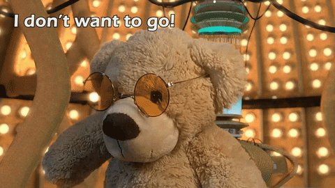 doctor who bear GIF by Zackary Rabbit