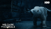 Golden Compass Hbo GIF by His Dark Materials