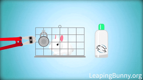 GIF by Leaping Bunny