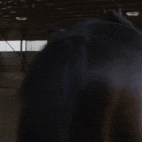 To Be Continued GIF by AP Dhillon