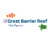 Reef_Experience turtle diving dive gbr Sticker