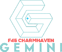 F45Gemini Sticker by F45 Training