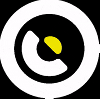 Festival Tour GIF by Dancetour