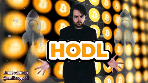 Bitcoin Hold GIF