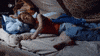 lotta GIF by ZDF