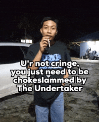 You Just Need To Be Chokeslammed By The Undertaker GIF