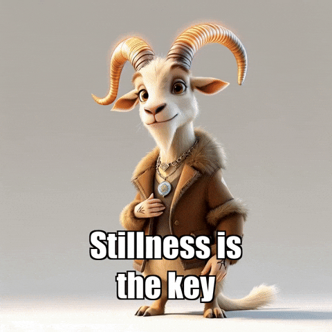 GIF by Radiantelope