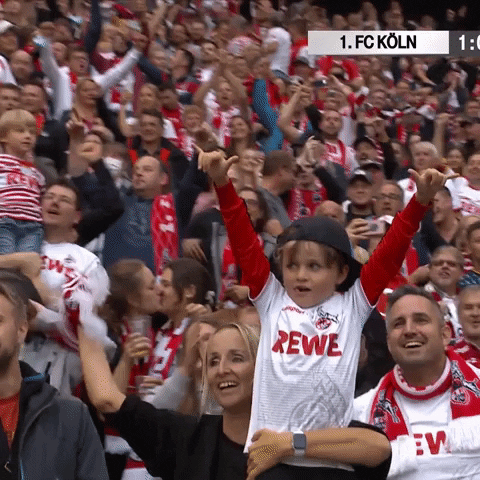 Football Soccer GIF by 1. FC Köln