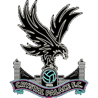 Premier League Football Sticker by CPFC