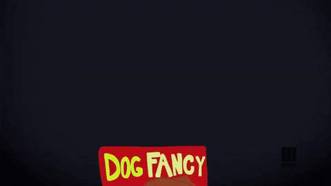 dog show GIF by Story Time with Fat Jew