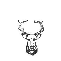 New Arrivals Sticker by Buck's Hard Goods